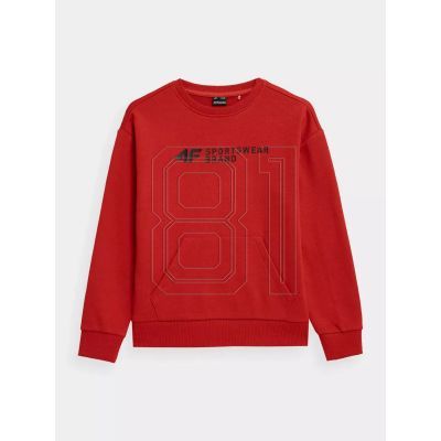 13. Sweatshirt 4F Jr. 4FJSS23TSWSM222-62S