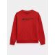13. Sweatshirt 4F Jr. 4FJSS23TSWSM222-62S