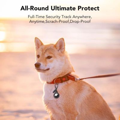 6. Tech-Protect Rough 2-pack case for Apple AirTag - black