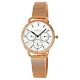 Pacific Chronograph Women's Watch X6180-4