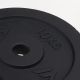 2. POWER PLATE Weight Plate 10 kg