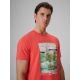 4. Men's regular printed T-shirt 4F 4FRSS26TTSHM4304-63S
