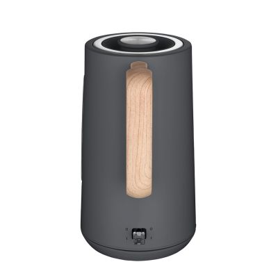 2. CONCEPT RK3370 electric kettle
