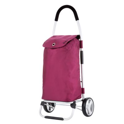 Classic Premium Shopping Cart 604319