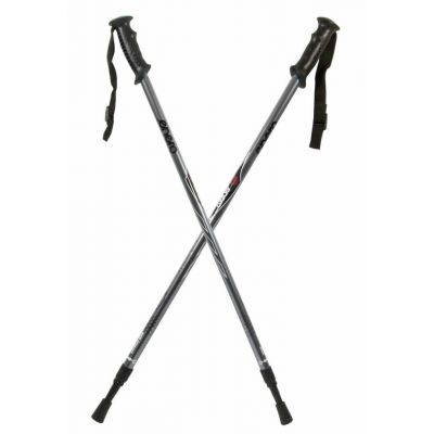 3. Classic silver trekking poles