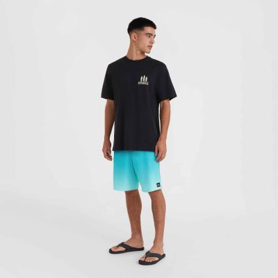 8. O'Neill Beach Graphic T-Shirt M 92800613988