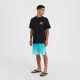 8. O'Neill Beach Graphic T-Shirt M 92800613988