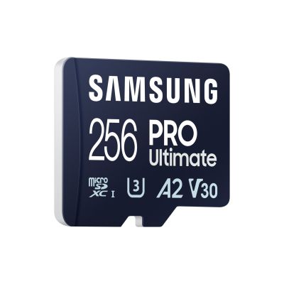 3. Samsung MB-MY256S 256 GB MicroSDXC UHS-I