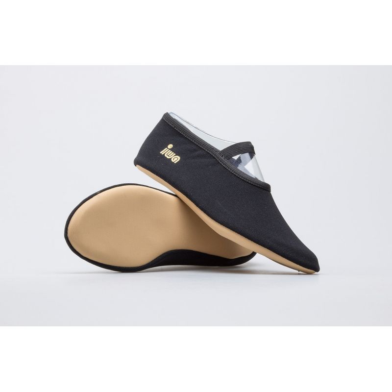 6. IWA 250 ballet shoes