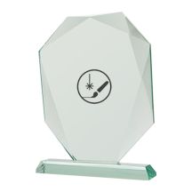 Engraved glass trophy with case + paint filling