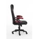 3. Raptor Gaming 437764 Gaming Chair Gaming Chair Upholstered Seat Black, Red