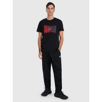 6. Men's regular printed T-shirt 4F 4FRAW25TTSHM3224-20S