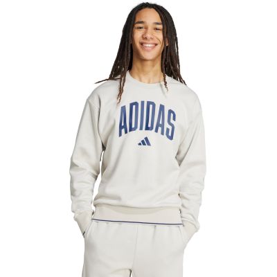 7. Men's adidas Collegiate Sweatshirt Gray JM1732