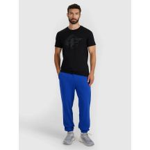 Men's sweatpants 4F 4FWAW25TTROM1272-36S