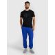 Men's sweatpants 4F 4FWAW25TTROM1272-36S