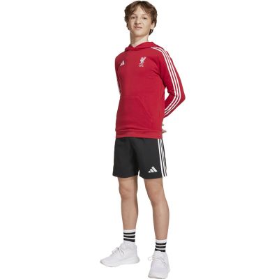 4. adidas Liverpool FC Hoody Kids HD sweatshirt JW7904
