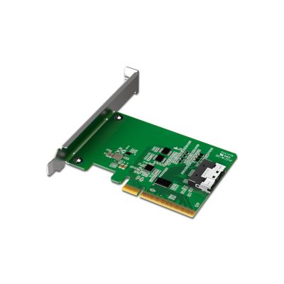 2. IcyDock slimSAS 8i to PCle 4.0 x8 PCle Adapter with Receiver