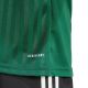 14. Men's adidas Campeon 25 Jersey green JF6063