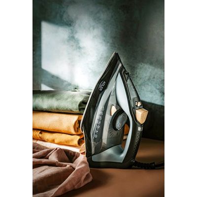 9. 3000W Adler Steam Iron Adler