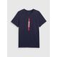 5. Men's regular printed T-shirt 4F 4FRAW25TTSHM3225-31S