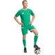 7. Men's adidas Tiro 26 Competition Match Day Shorts Green KA6175