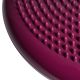 19. Tiguar stabilizing disc (air disc) DR-GT0001