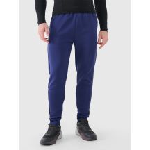 Men's quick-drying training pants 4F 4FWSS25TFTRM0836-30S
