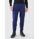 Men's quick-drying training pants 4F 4FWSS25TFTRM0836-30S