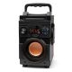 2. SQUEAK BASSBLASTER BLUETOOTH 5.1 SPEAKER, FM RADIO, MP3 PLAYER SQ1001