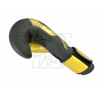 3. Boxing gloves Masters Rbt 01256-Gold-10