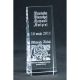 6. Engraved glass trophy with case