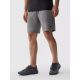 6. Shorts 4F M 4FAW23TFSHM299-27M