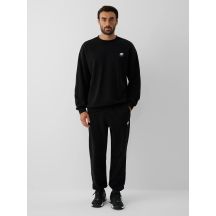 Men's jogger sweatpants 4F 4FRAW26TTROM2176-20S