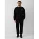 Men's jogger sweatpants 4F 4FRAW26TTROM2176-20S