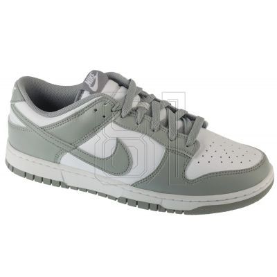 Nike Dunk Low Retro HF5441-105 shoes