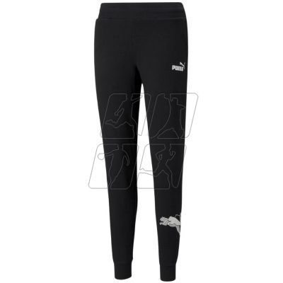 Puma Power Graphic Pants W 847115 01