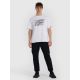 5. Men's regular printed T-shirt 4F 4FRAW25TTSHM3259-10S