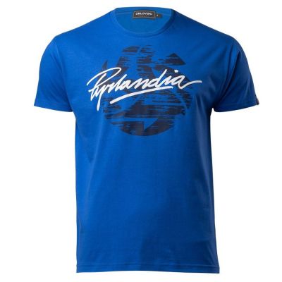 2. KKS Lech Pyrlandia T-shirt M S905753
