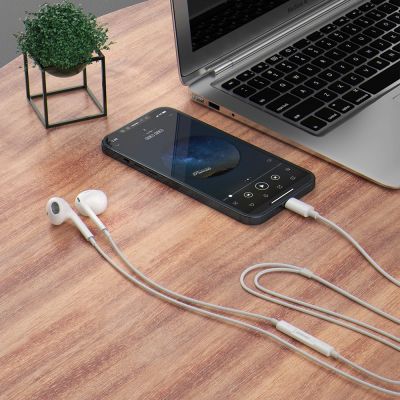3. Dudao in-ear headphones with USB Type-C connector white (X14PROT)