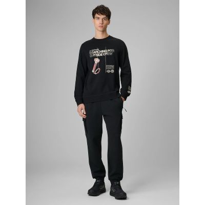 6. Men's longsleeve regular with print 4F 4FRSS26TLONM674-20S