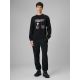 6. Men's longsleeve regular with print 4F 4FRSS26TLONM674-20S