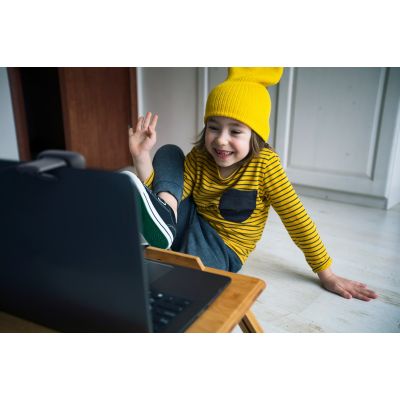 6. LOGITECH C505 HD CAMERA