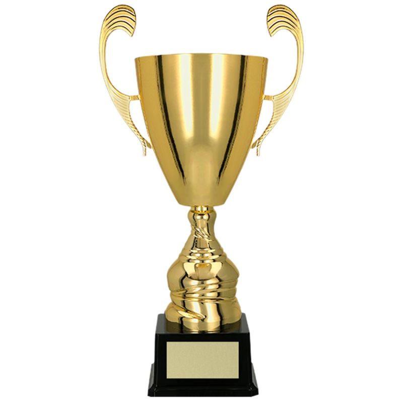 5. Gold metal cup TS