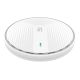 Dual-Band Wi-Fi 6 PoE Wireless Access Point (WAP-8131)