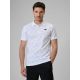 Men's regular polo shirt 4F 4FRSS26TPTSM0900-10S