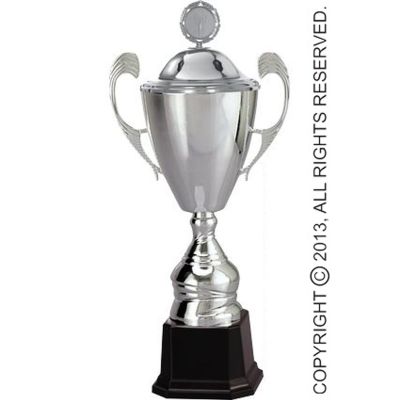 3. Silver metal cup with lid