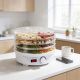 17. Esperanza DÉLICATESSE EKD003 mushroom, vegetable and fruit dehydrator (250W; white)