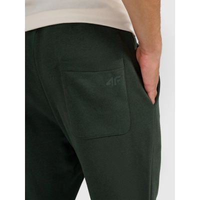5. Men's jogger sweatpants 4F 4FRAW25TTROM1671-40M