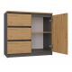 2. CHEST OF DRAWERS 1 DOOR 3 DRAWERS ANT/ART TABLETOP ART SET