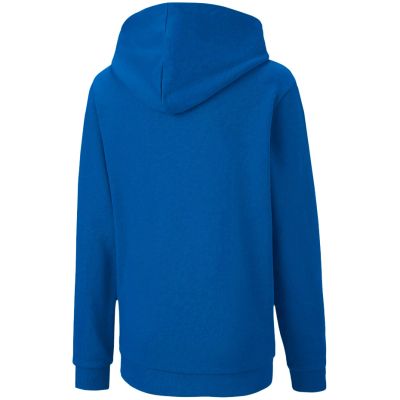 6. Puma teamGOAL 23 Casuals Hoody Jr 656711 02 sweatshirt